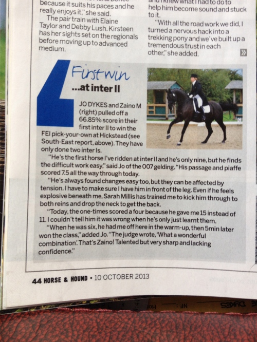 Zaino gets a nice write up in the Horse and Hound !